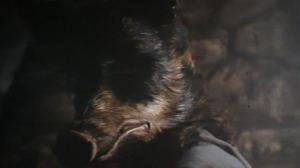 Кадры из фильма Час свиньи / The Hour of the Pig (1993)