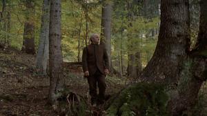 Кадры из фильма Тайна старого леса / Il segreto del bosco vecchio (1993)