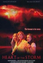 Страшнее шторма / Heart of the Storm (2004)