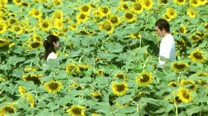 Кадры из фильма Быть с вами / Ima, ai ni yukimasu (2004)