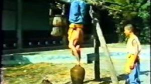 Кадры из фильма Тайное боевое искусство Шаолиня / Shao Lin zhen gong fu (1994)