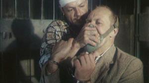 Кадры из фильма Год собаки (1994)