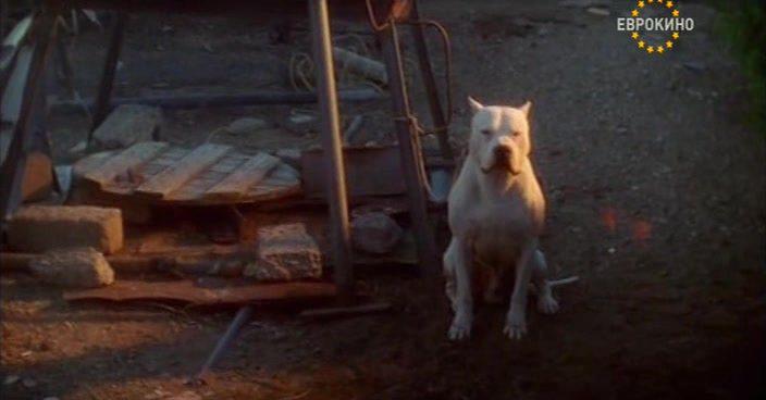 Кадр из фильма Аргентинский дог / El perro (2004)