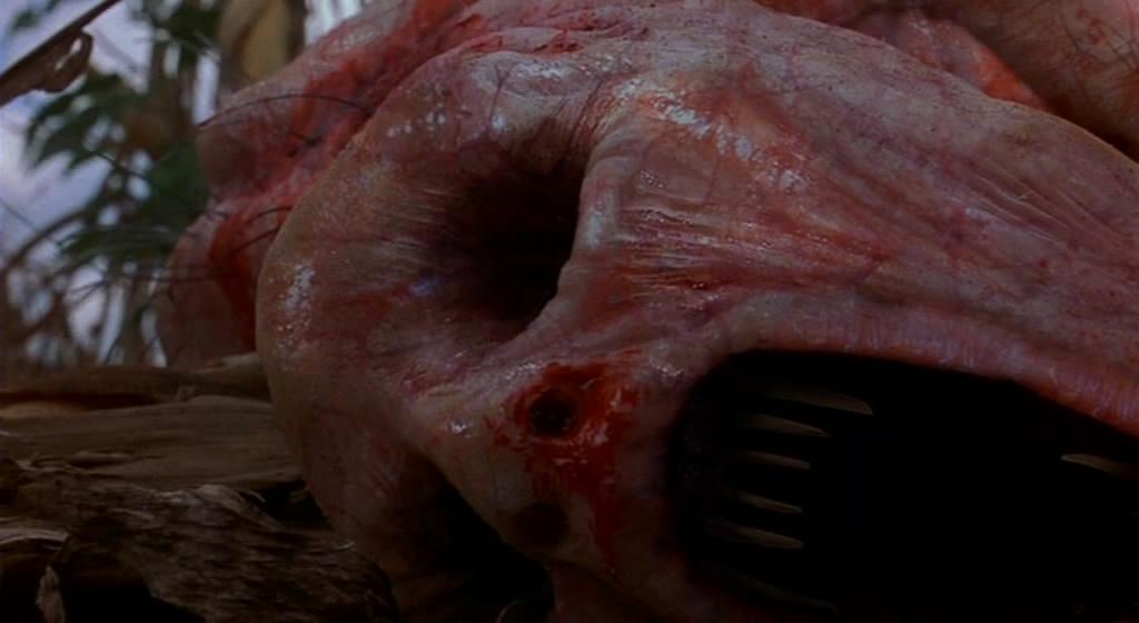 Кадр из фильма Мертвые пташки / Dead Birds (2004)
