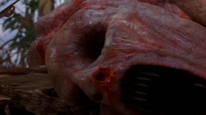 Кадры из фильма Мертвые пташки / Dead Birds (2004)