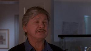 Кадры из фильма Жажда смерти 5: Лик смерти / Death Wish V: The Face of Death (1994)