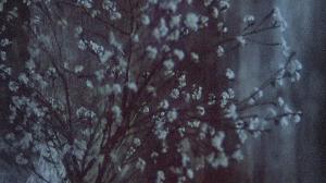 Кадры из фильма Тихие страницы. А.Сокуров. Ранние работы / Whispering Pages. A.Sokurov. Early Masterworks (1994)