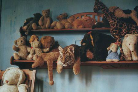 Кадр из фильма Два брата / Deux frères (2004)