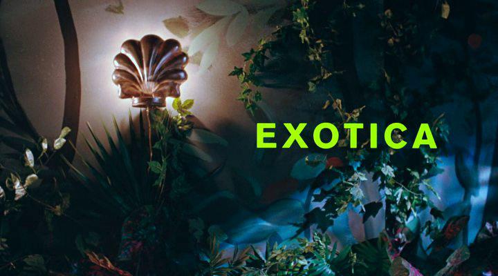 Кадр из фильма Экзотика / Exotica (1994)