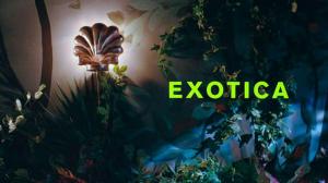 Кадры из фильма Экзотика / Exotica (1994)
