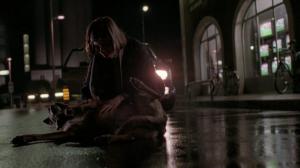 Кадры из фильма Три цвета: Красный / Trois couleurs: Rouge (1994)