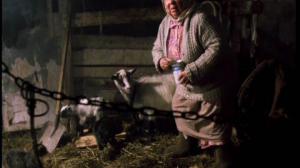 Кадры из фильма Именины (2004)
