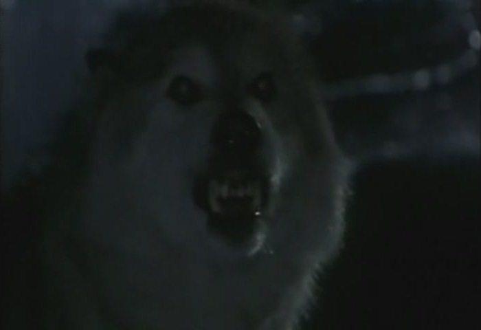 Кадр из фильма Лэсси / Lassie (1994)
