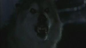 Кадры из фильма Лэсси / Lassie (1994)
