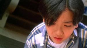 Кадры из фильма Телохранитель из Пекина / Zhong Nan Hai bao biao (1994)