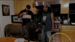 Кадры из фильма Дикая вечеринка / Party Animalz (2004)