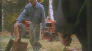 Кадры из фильма Спутник жизни / The Companion (1994)
