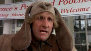 Кадры из фильма Тупой и еще тупее / Dumb and Dumber (1994)