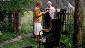 Кадры из фильма Домовик и кружевница (1995)