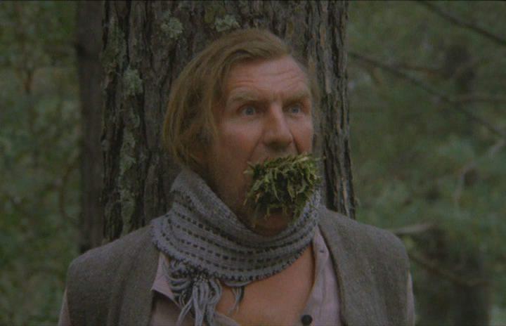 Кадр из фильма Волчья кровь (1995)
