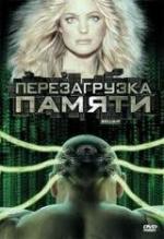 Перезагрузка памяти / Brilliant (2004)