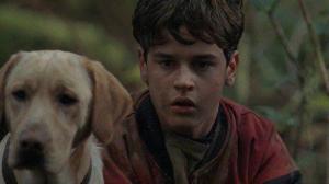 Кадры из фильма Далеко от дома: Приключения желтого пса / Far from Home: The Adventures of Yellow Dog (1995)