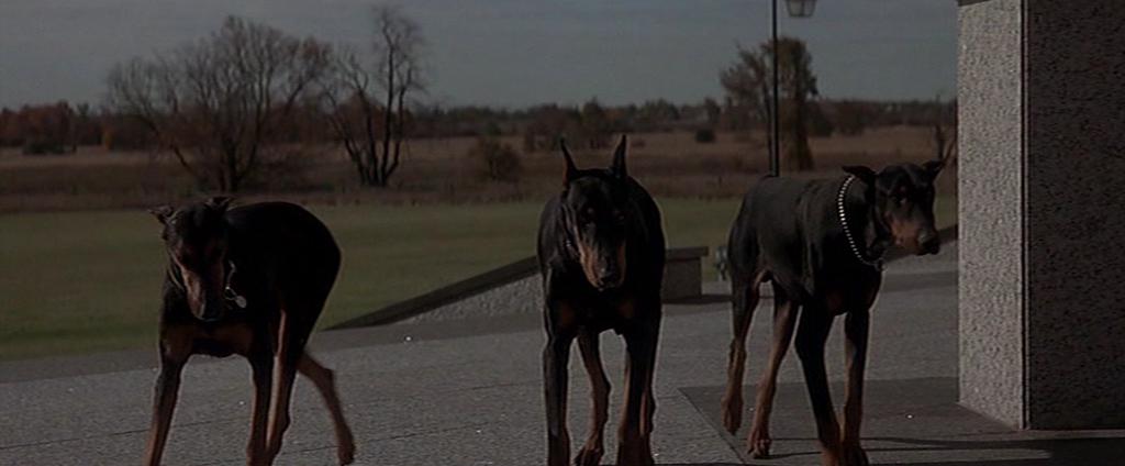 Кадр из фильма В пасти безумия / In the Mouth of Madness (1995)