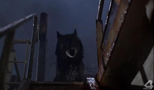 Кадр из фильма Вампир в Бруклине / Vampire in Brooklyn (1995)