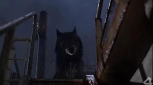 Кадры из фильма Вампир в Бруклине / Vampire in Brooklyn (1995)
