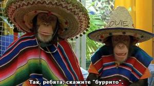 Кадры из фильма Король сноуборда / MXP: Most Xtreme Primate (2004)