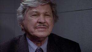 Кадры из фильма Семья полицейских / Family of Cops (1995)