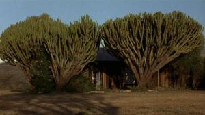 Кадры из фильма Нигде в Африке / Nirgendwo in Afrika (2003)