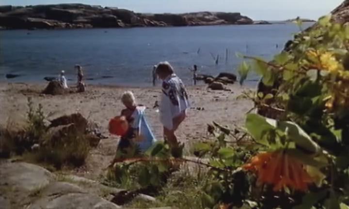 Кадр из фильма Рак-отшельник / Eremittkrepsen (1996)