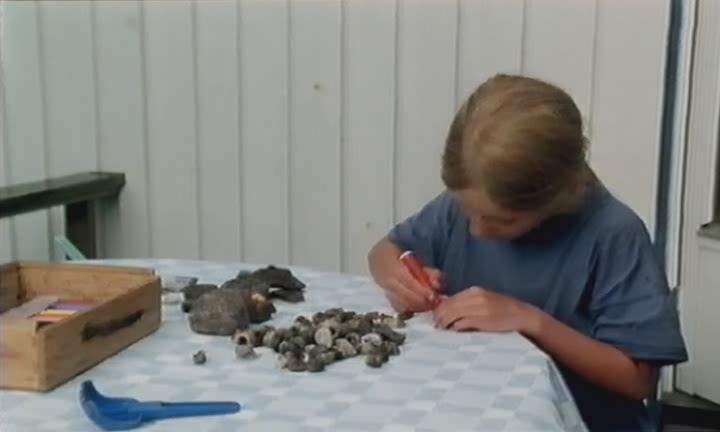 Кадр из фильма Рак-отшельник / Eremittkrepsen (1996)