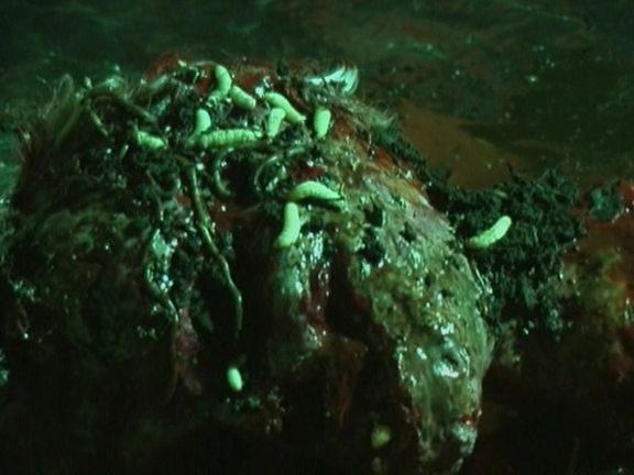 Кадр из фильма Подонок / Monsturd (2003)
