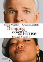 Дом вверх дном / Bringing Down the House (2003)