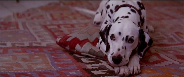 Кадр из фильма 101 далматинец / 101 Dalmatians (1996)