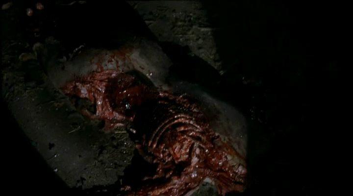 Кадр из фильма Хозяева подземелий / Rats (2003)