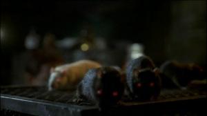 Кадры из фильма Хозяева подземелий / Rats (2003)