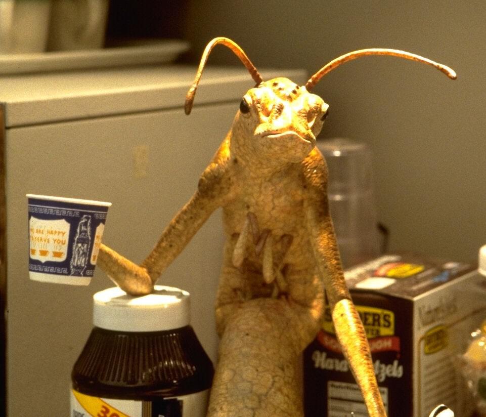 Кадр из фильма Люди в черном / Men in Black (1997)