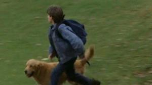 Кадры из фильма Король воздуха / Air Bud (1997)