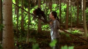 Кадры из фильма Вас не догонят / Lost and Delirious (2002)