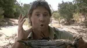 Кадры из фильма Охотник на крокодилов: Схватка / The Crocodile Hunter: Collision Course (2002)