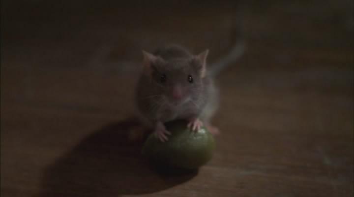 Кадр из фильма Мышиная охота / Mousehunt (1997)