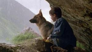 Кадры из фильма Малыш Рекс - четвероногий детектив / Baby Rex - Der kleine Kommissar (1997)