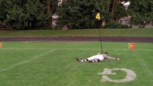 Кадры из фильма Стерва / Saving Silverman (2002)