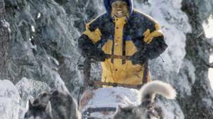 Кадры из фильма Снежные псы / Snow Dogs (2002)
