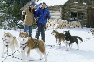 Кадр из фильма Снежные псы / Snow Dogs (2002)