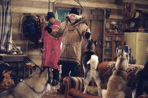 Кадр из фильма Снежные псы / Snow Dogs (2002)