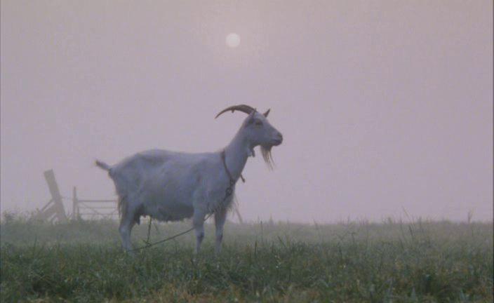 Кадр из фильма Малыш Тони / Kleine Teun (1998)